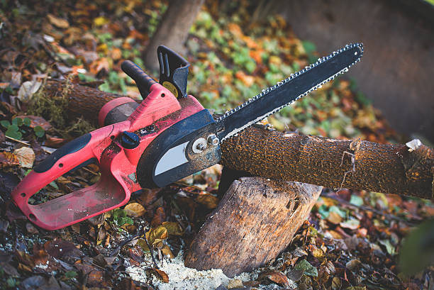 Leaf Removal in New Stanton, PA